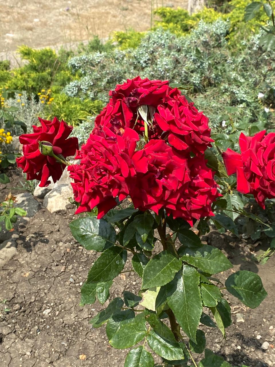 Фото Морской