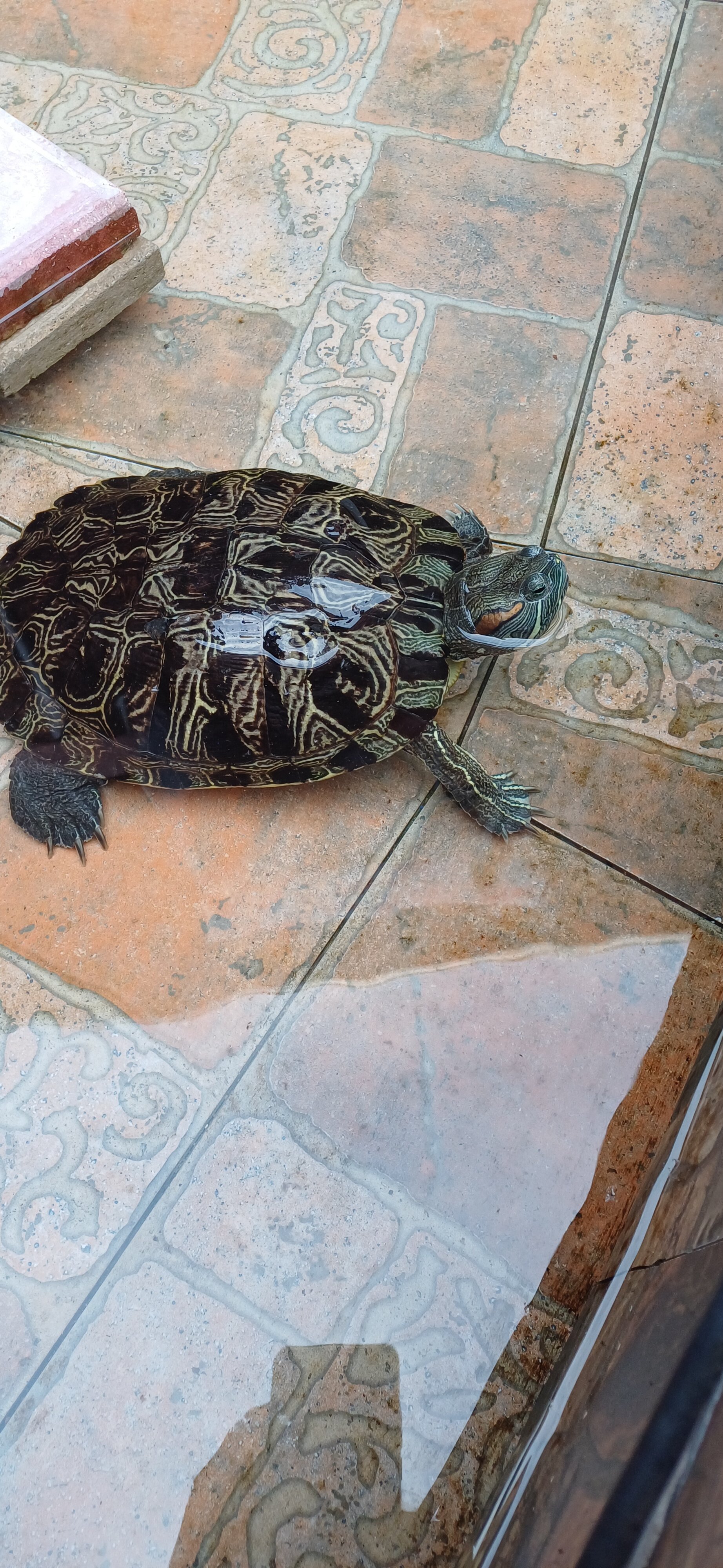 Фото Гостевой дом Анна