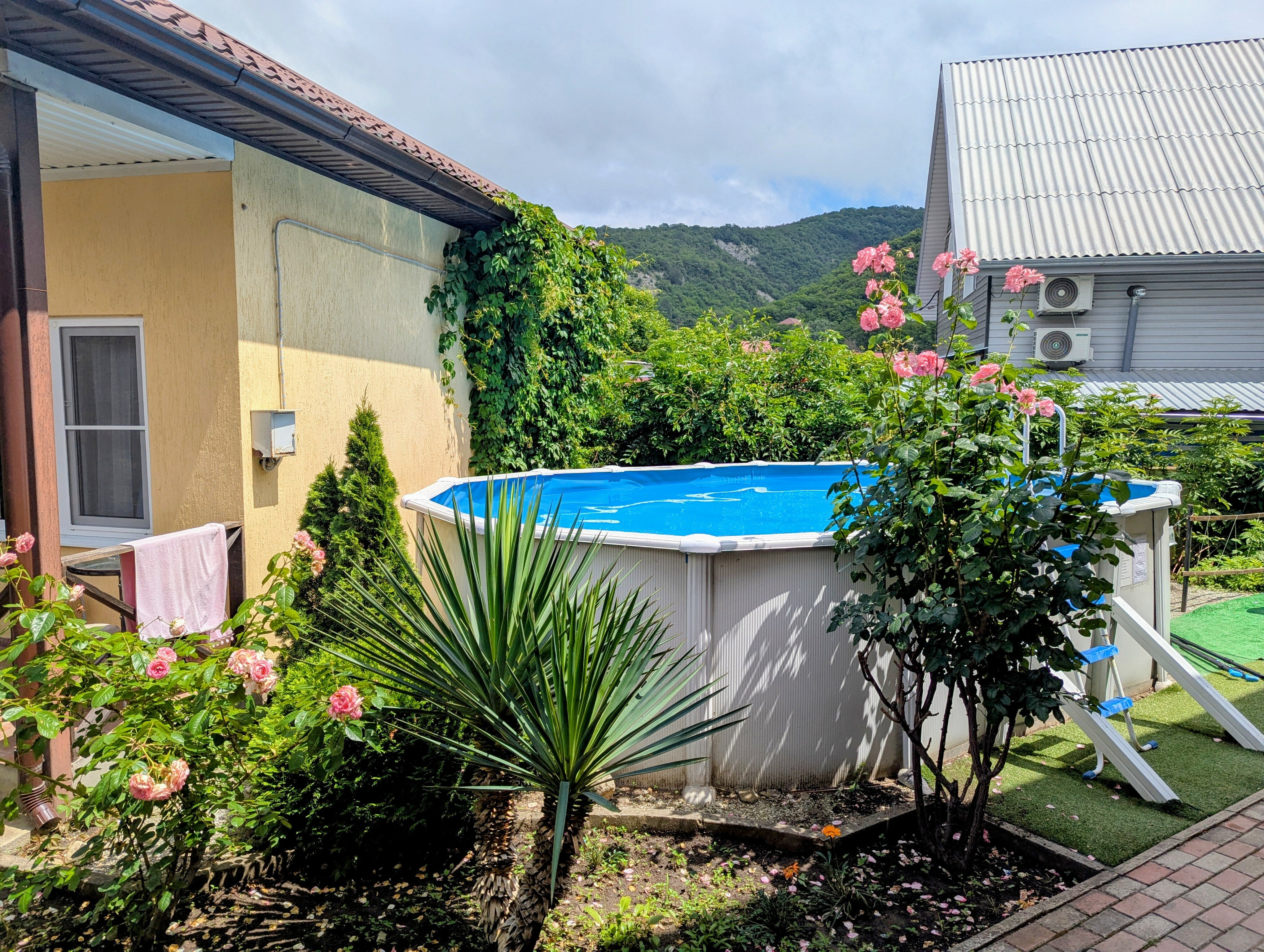 Фото Архипка