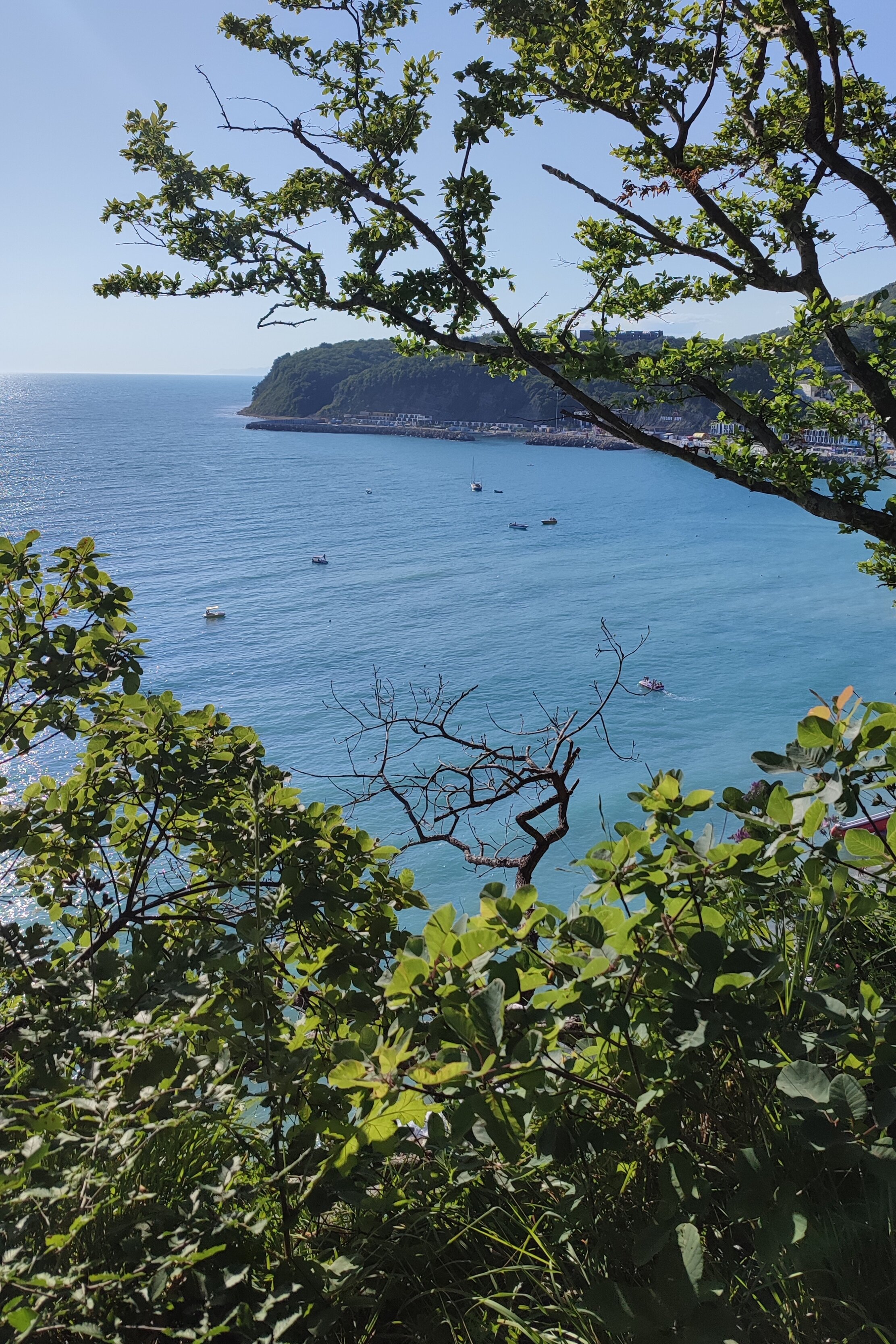 Фото Alean Select Olginka