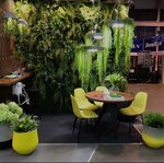 Florasfera (Vostochno-Kruglikovskaya Street, 69), flower shop