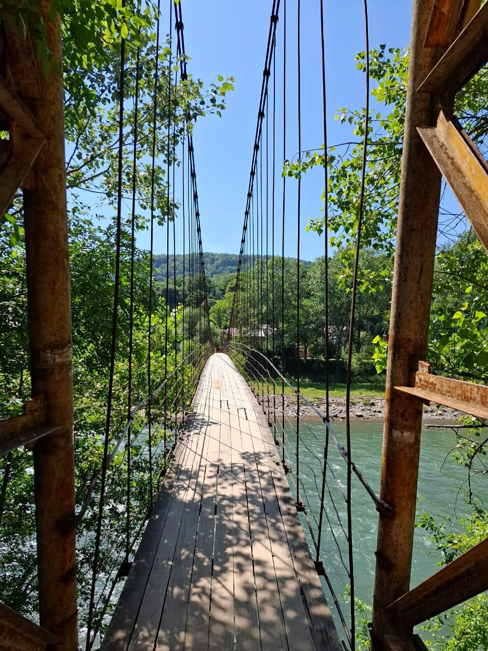 Фото Эдельвейс Ретро