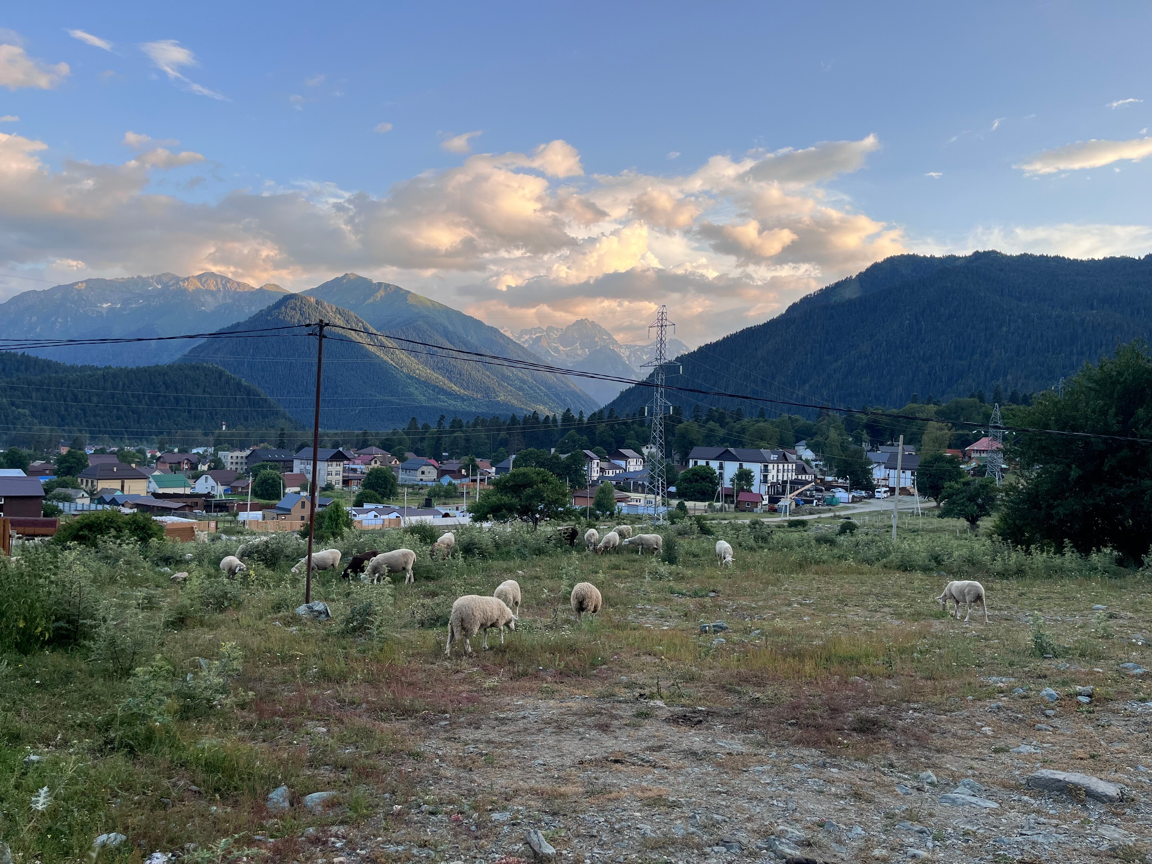 Фото Arkhyz Family Lodge