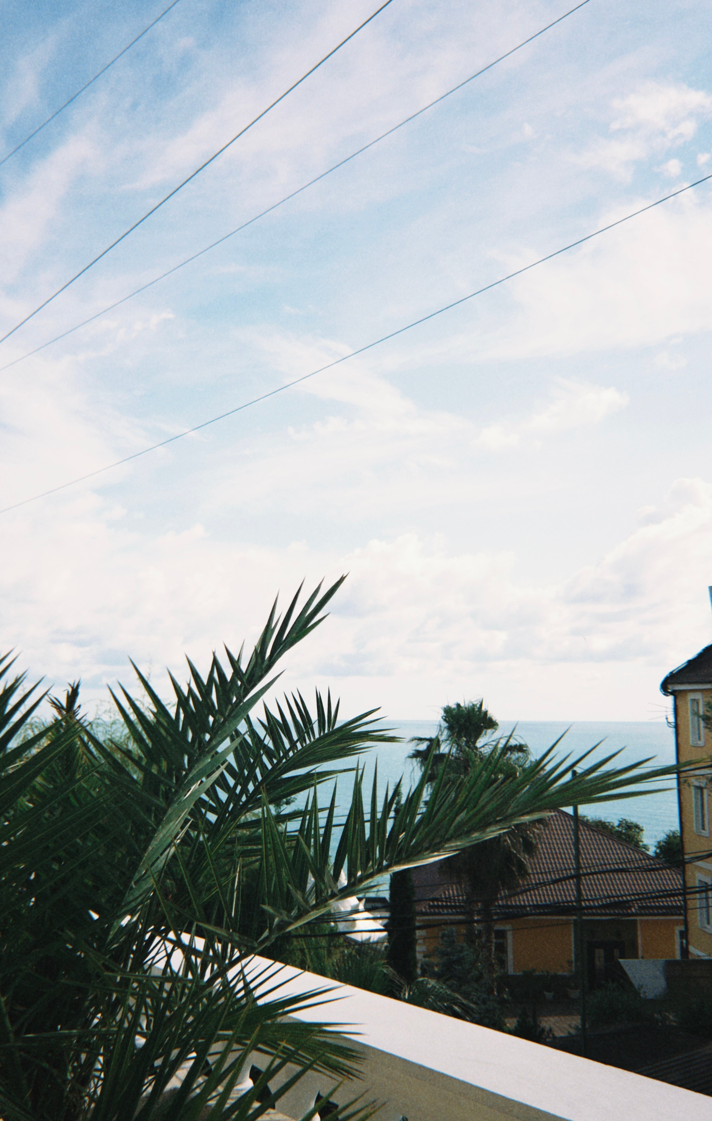 Фото Ani Loo hotel