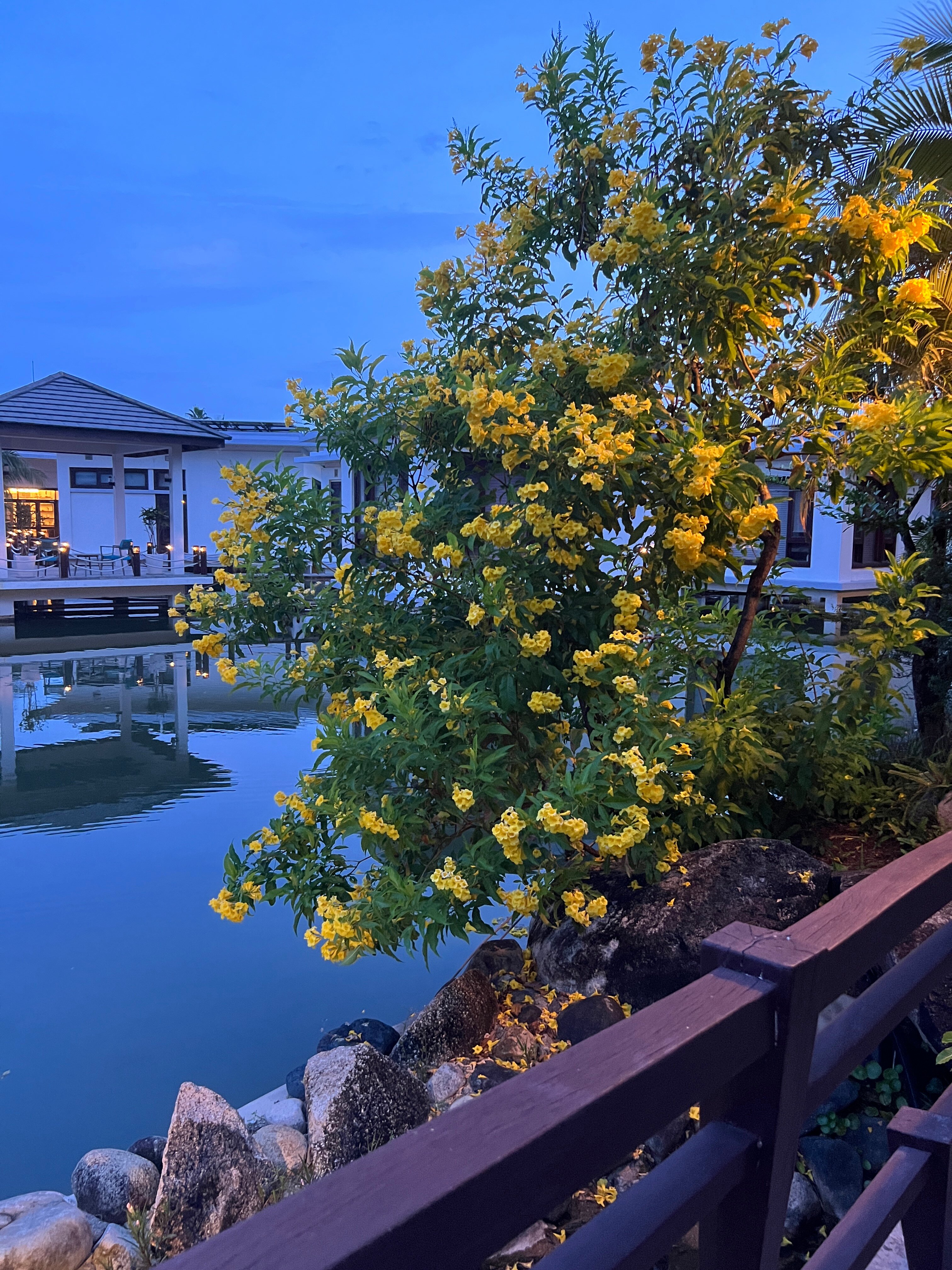 Фото Duyen Ha Resort Cam Ranh