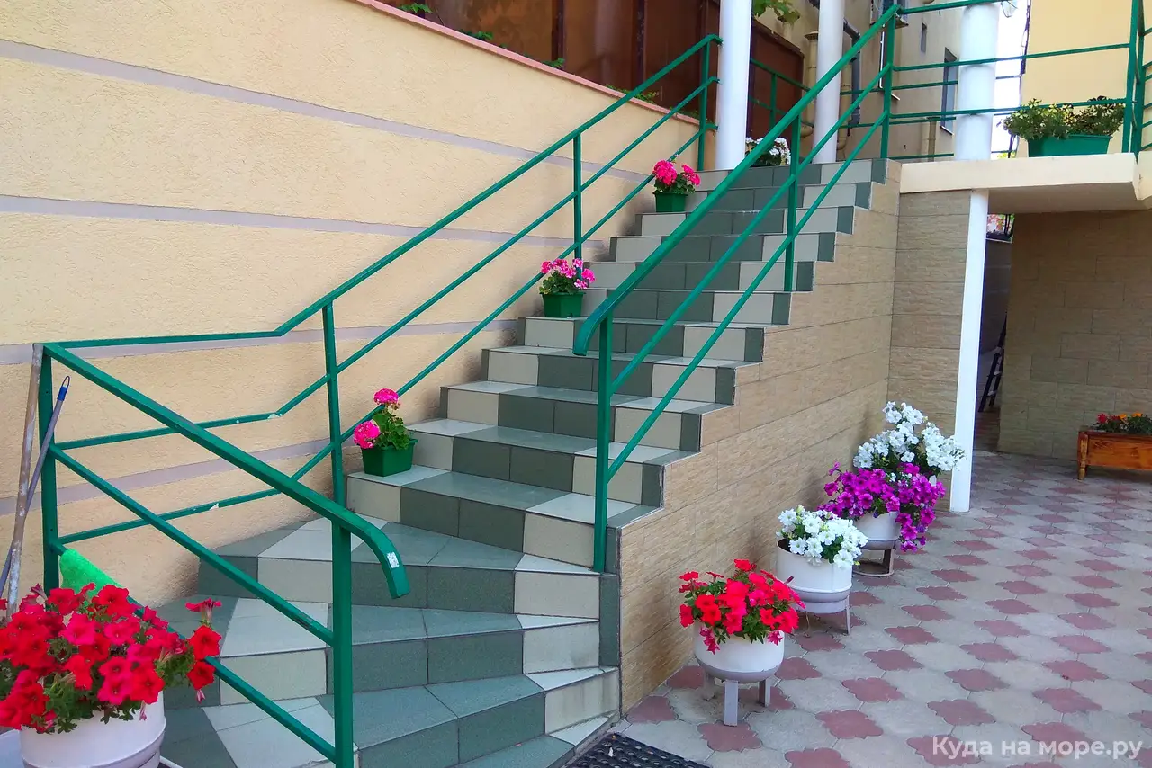 Фото Кипарис