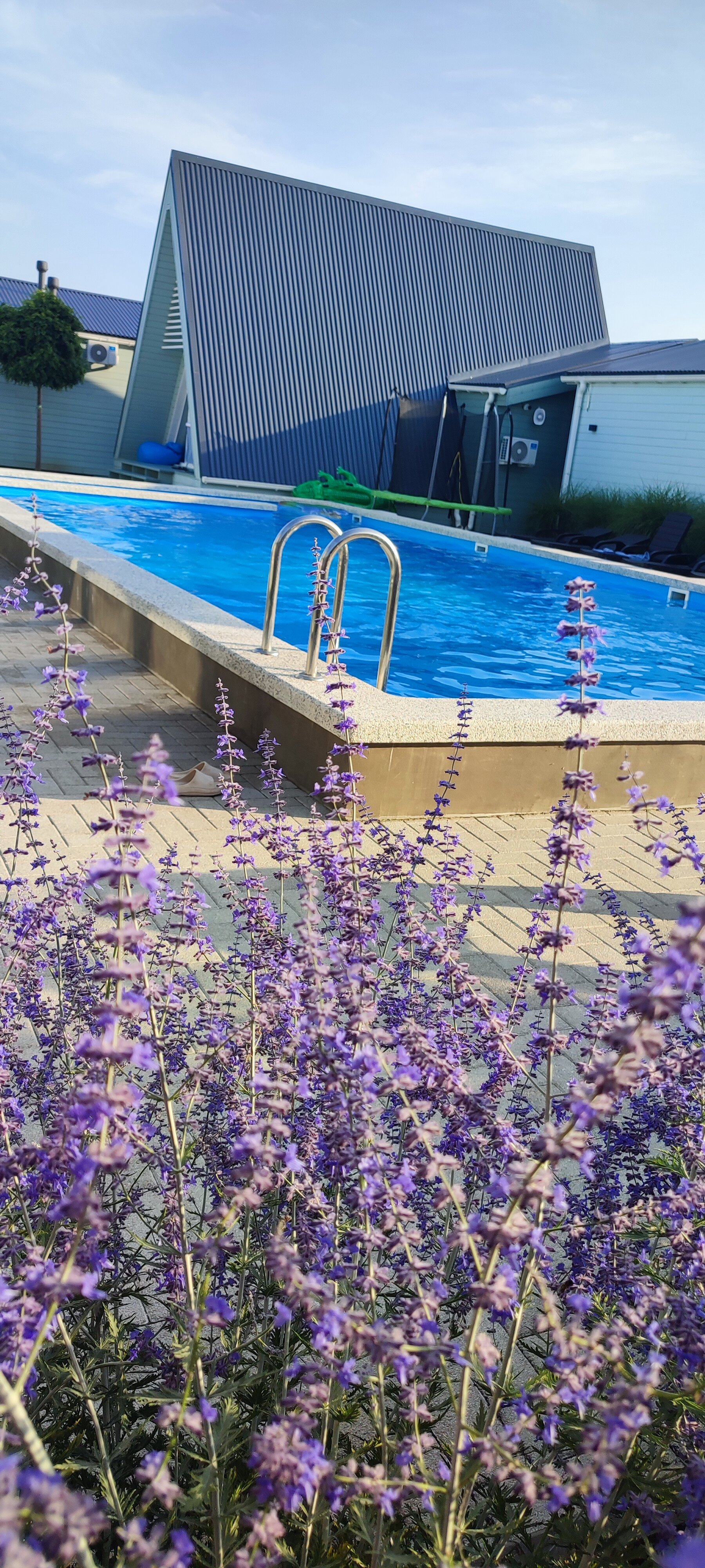 Фото Ботаники