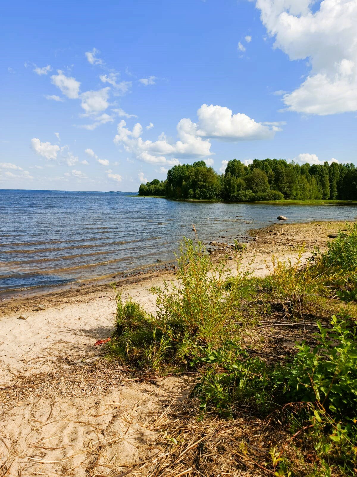Фото Водлозеро