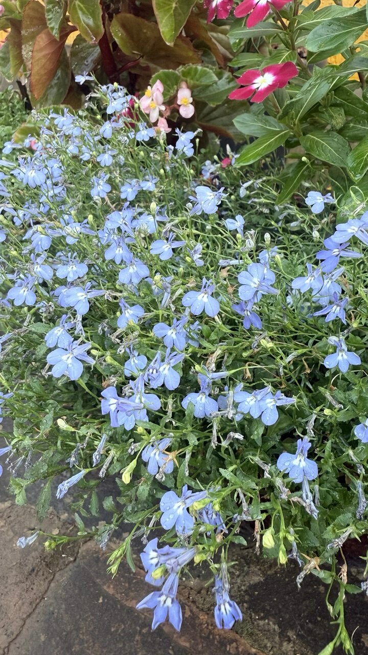 Фото В гостях у моря