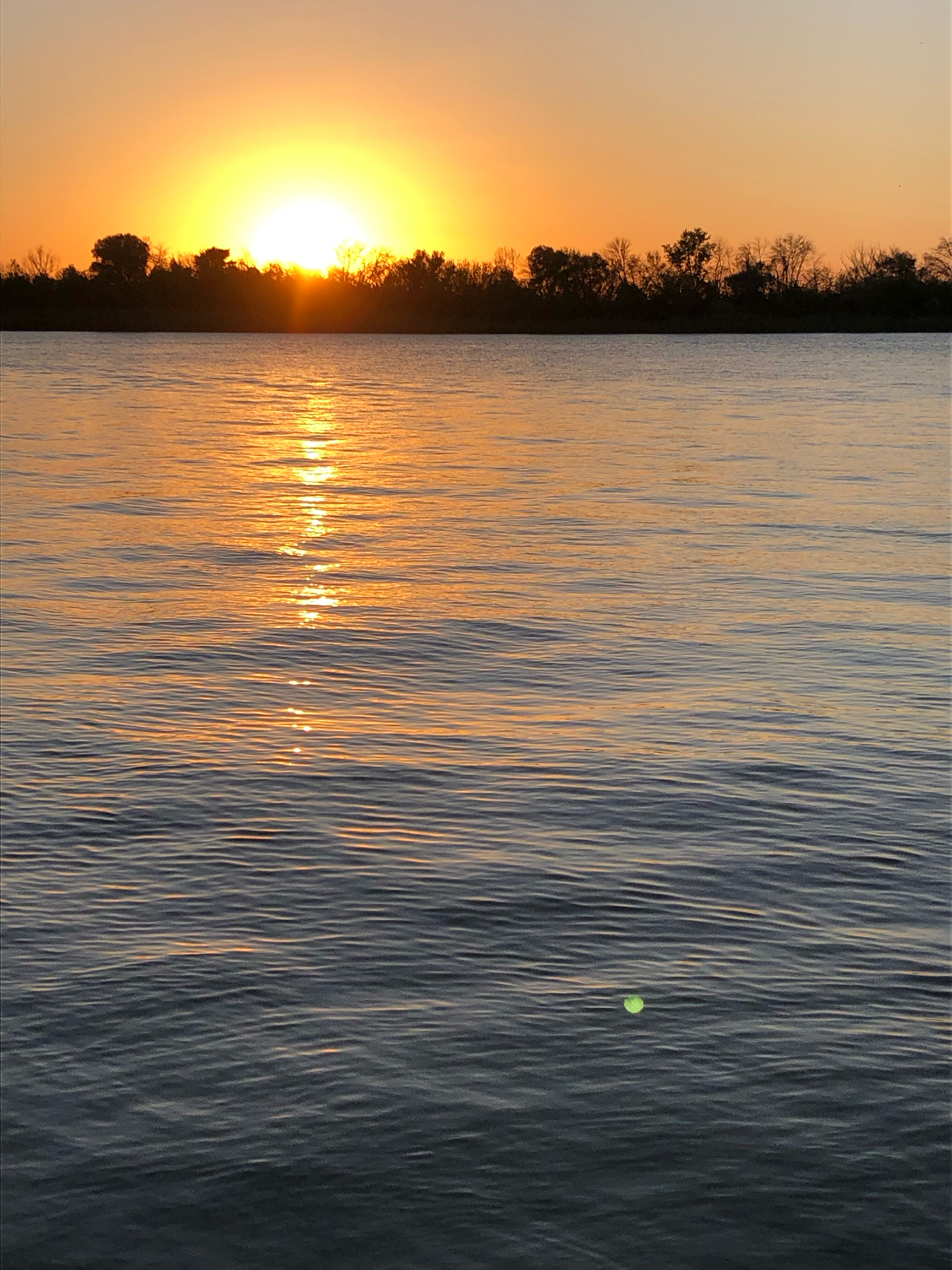 Фото Трофей