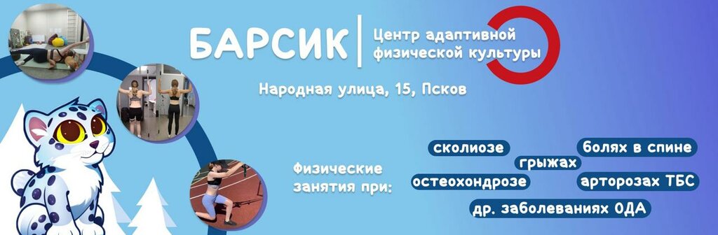 Wellness center Центр АФК Барсик, Pskov, photo