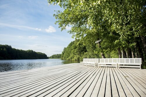 Гостиница Гуси-Лебеди в Ногинске