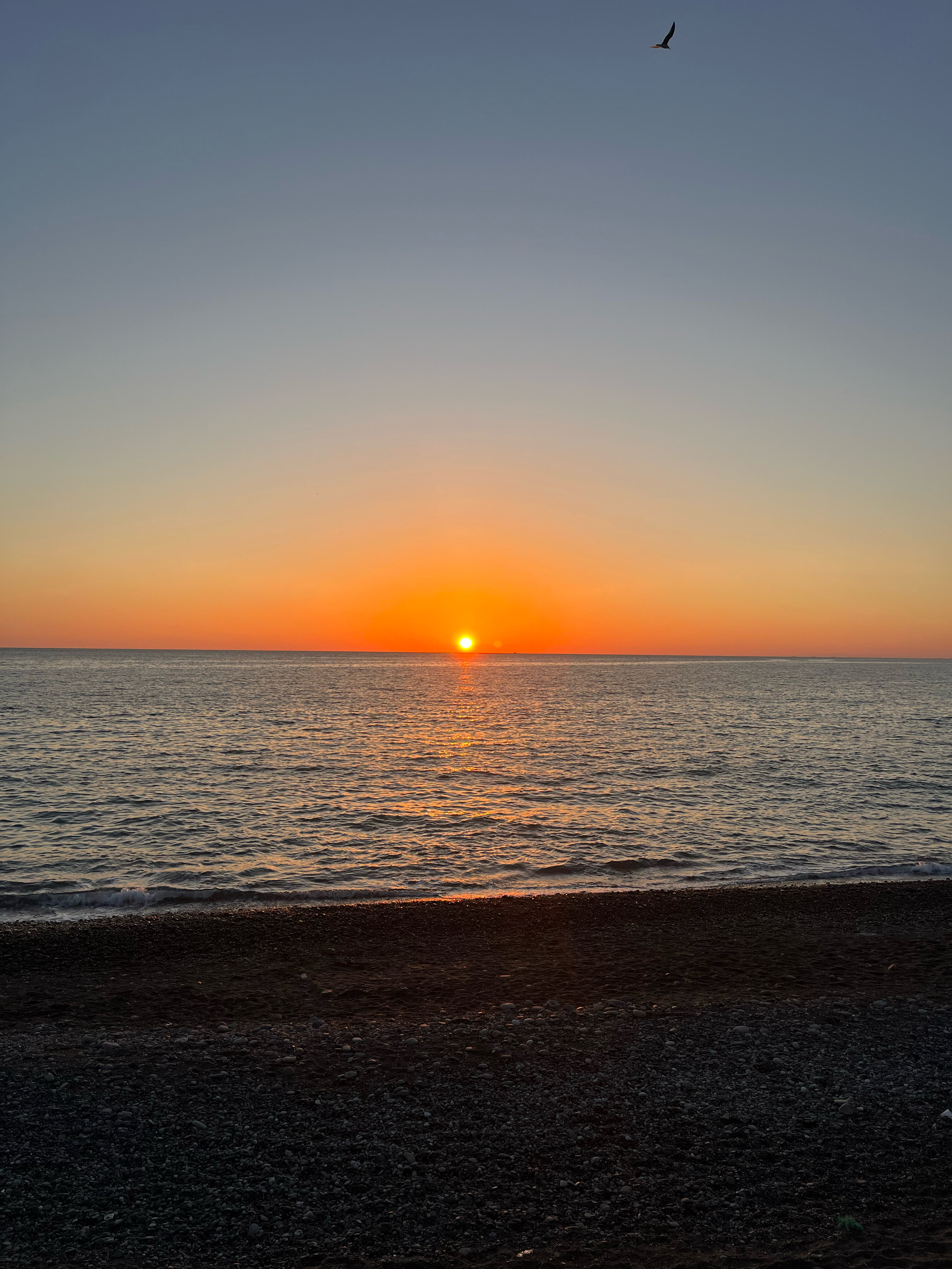 Фото Лэнсис