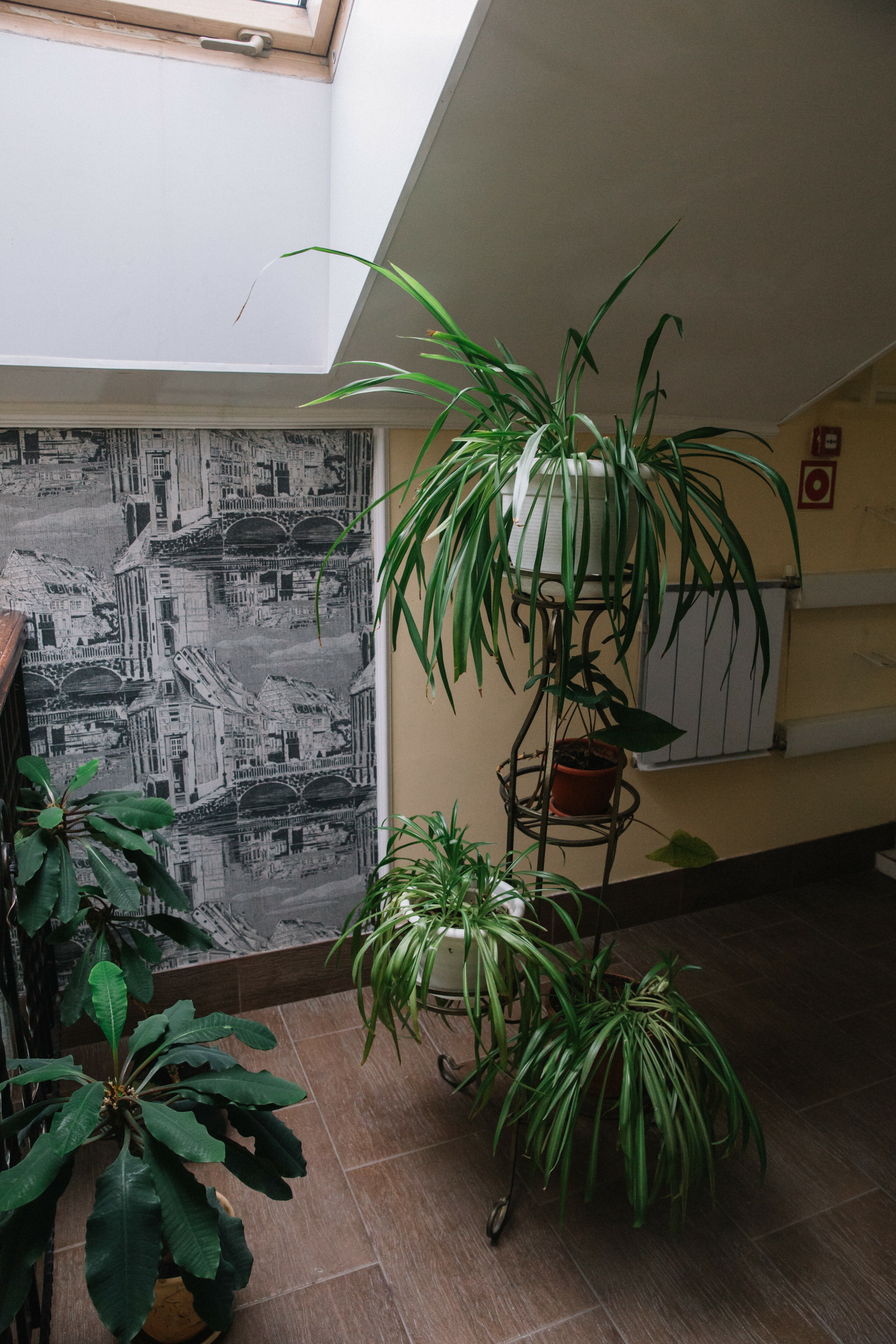 Фото Купеческий Клуб