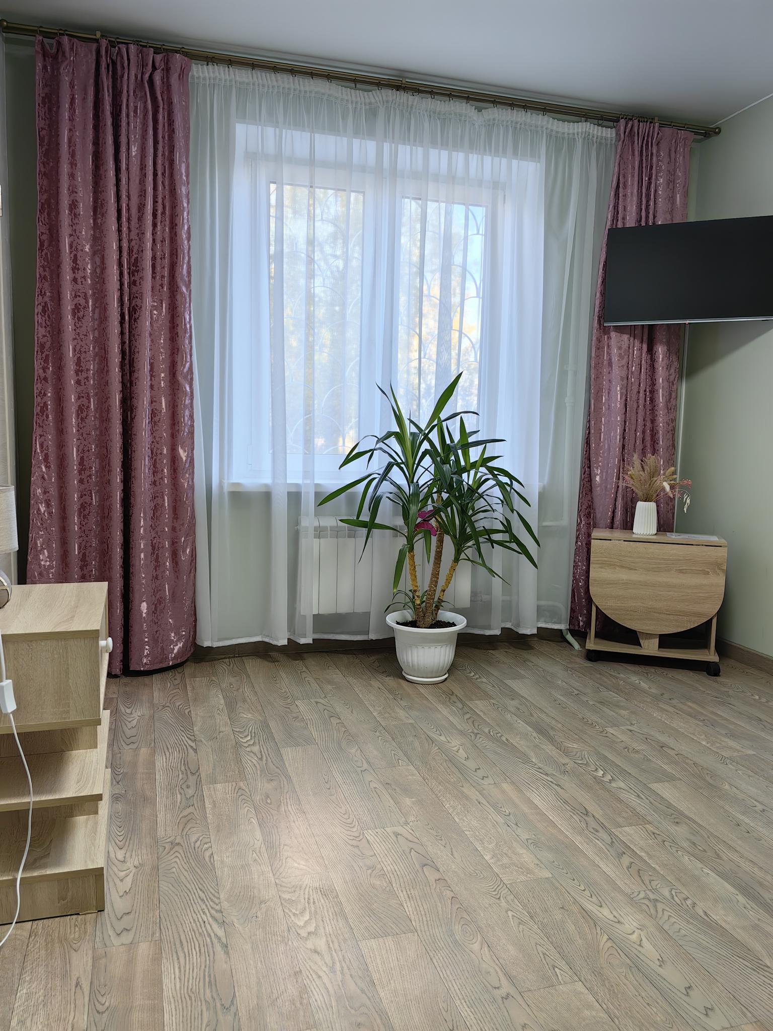 Фото Колибри