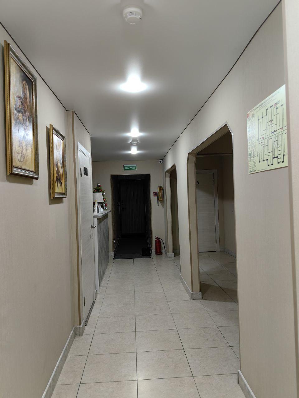 Фото Колибри