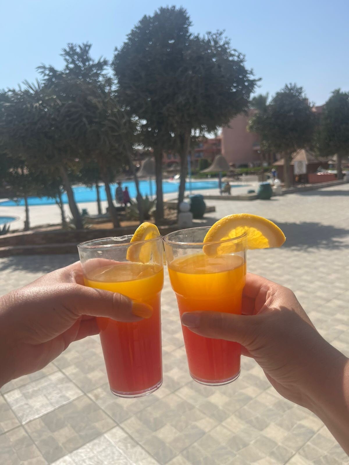 Фото Parrotel Aqua Park Resort