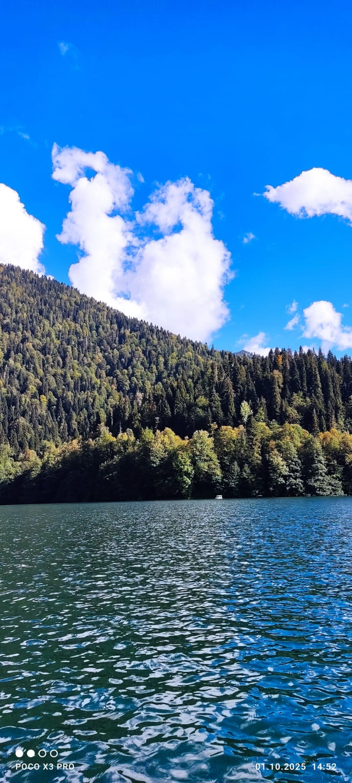 Фото Отель Никополи