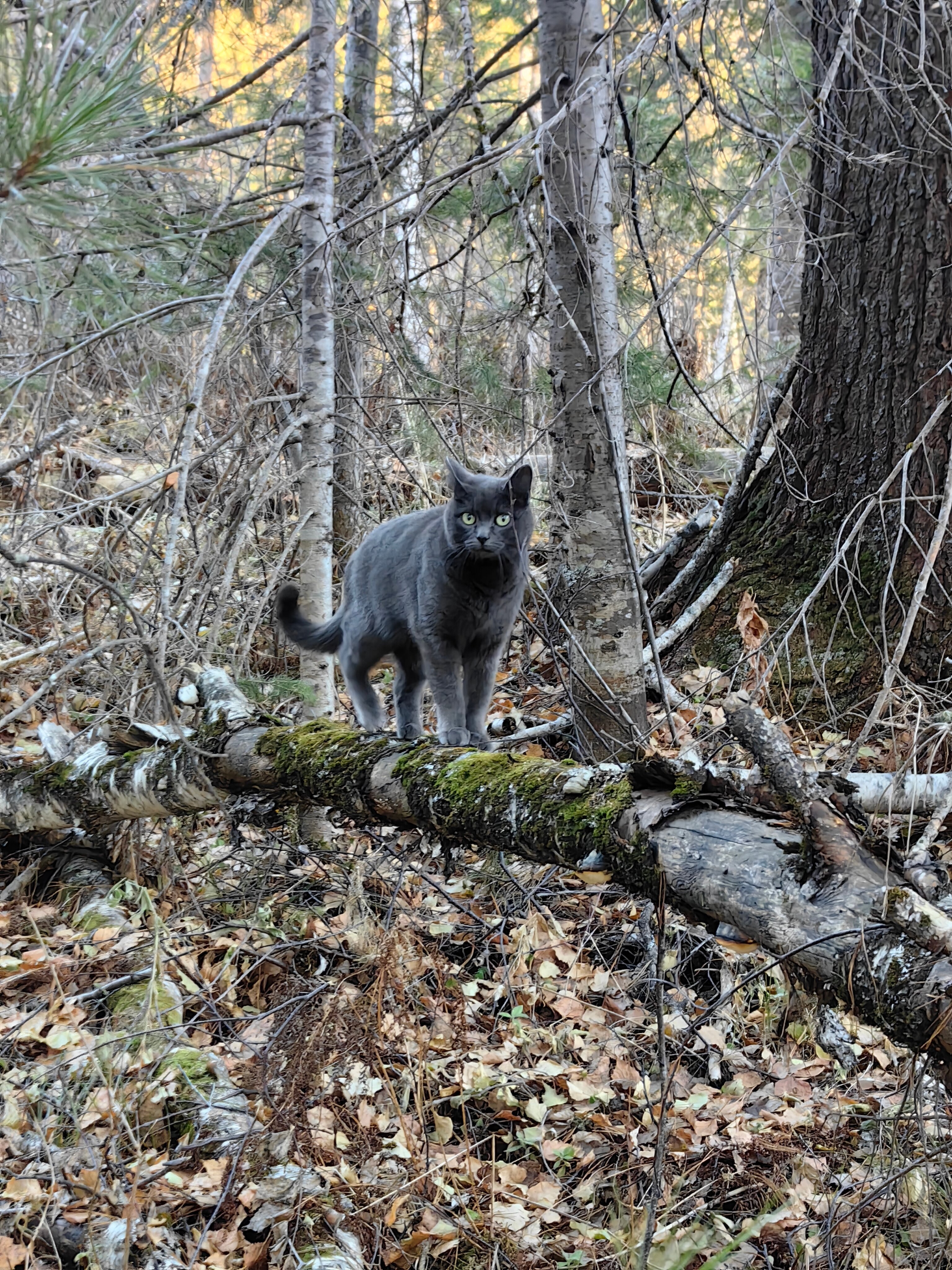 Фото Ойер Парк Отель