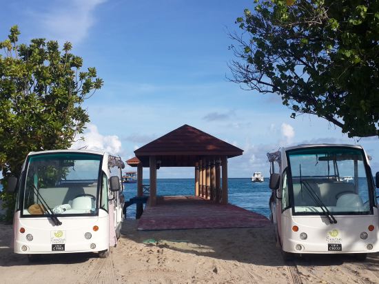 Фото Season Paradise