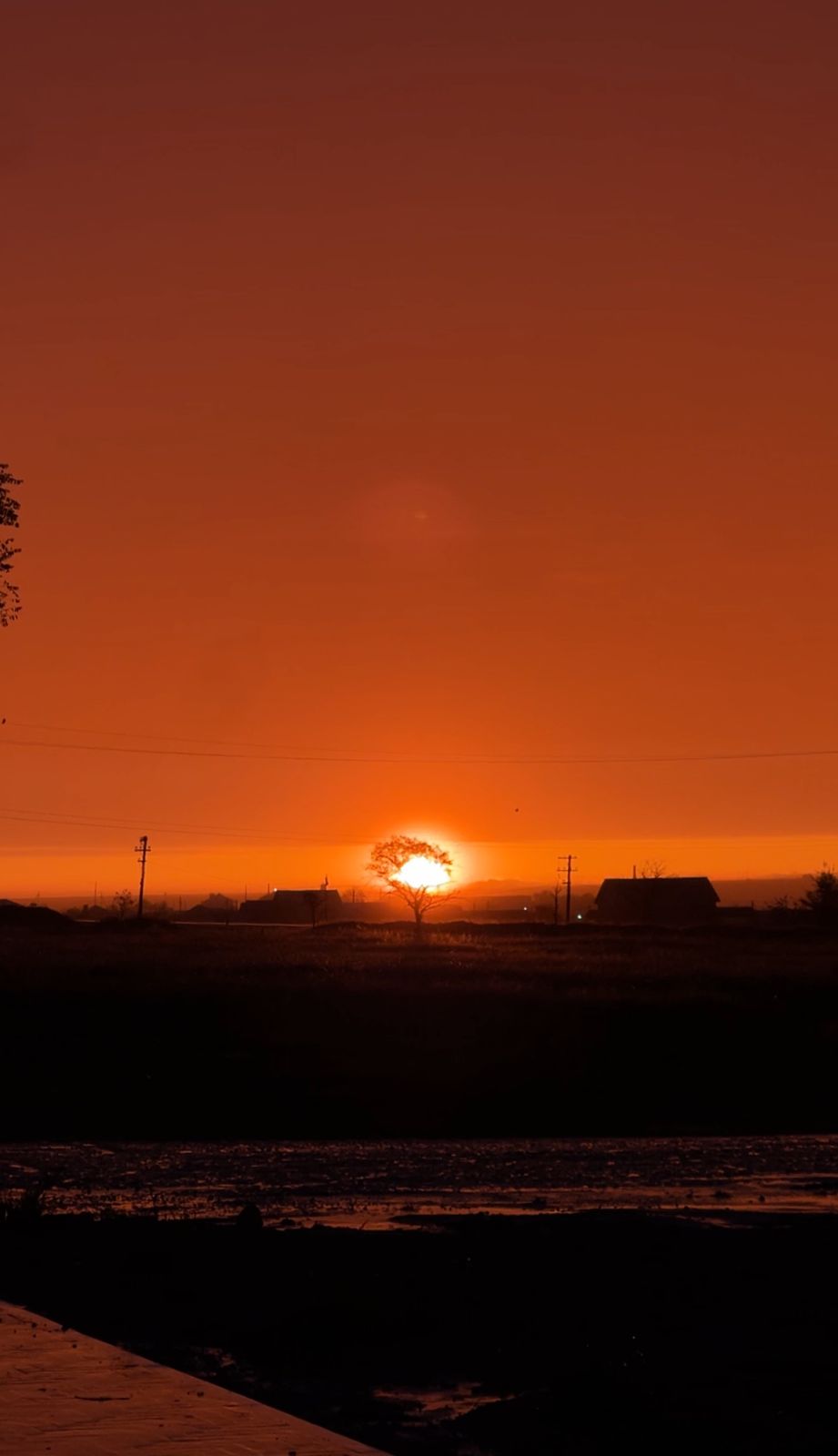 Фото У Старого Хурула