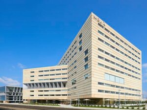 Гостиница Melia Palma Bay