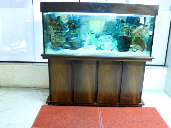 Фото Hotel São Paulo Inn by Nacional Inn