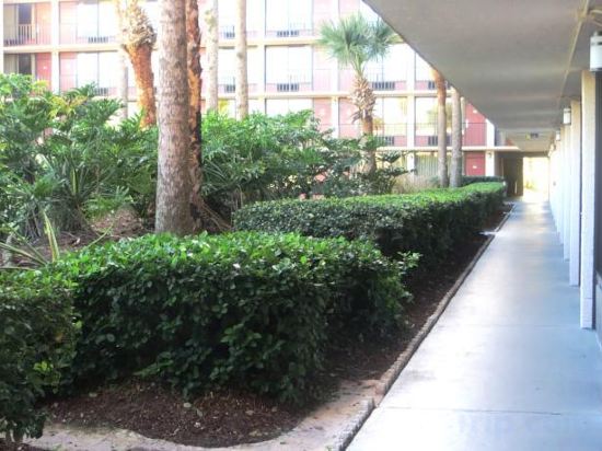 Фото Days Inn by Wyndham Orlando Conv. Center/International Dr