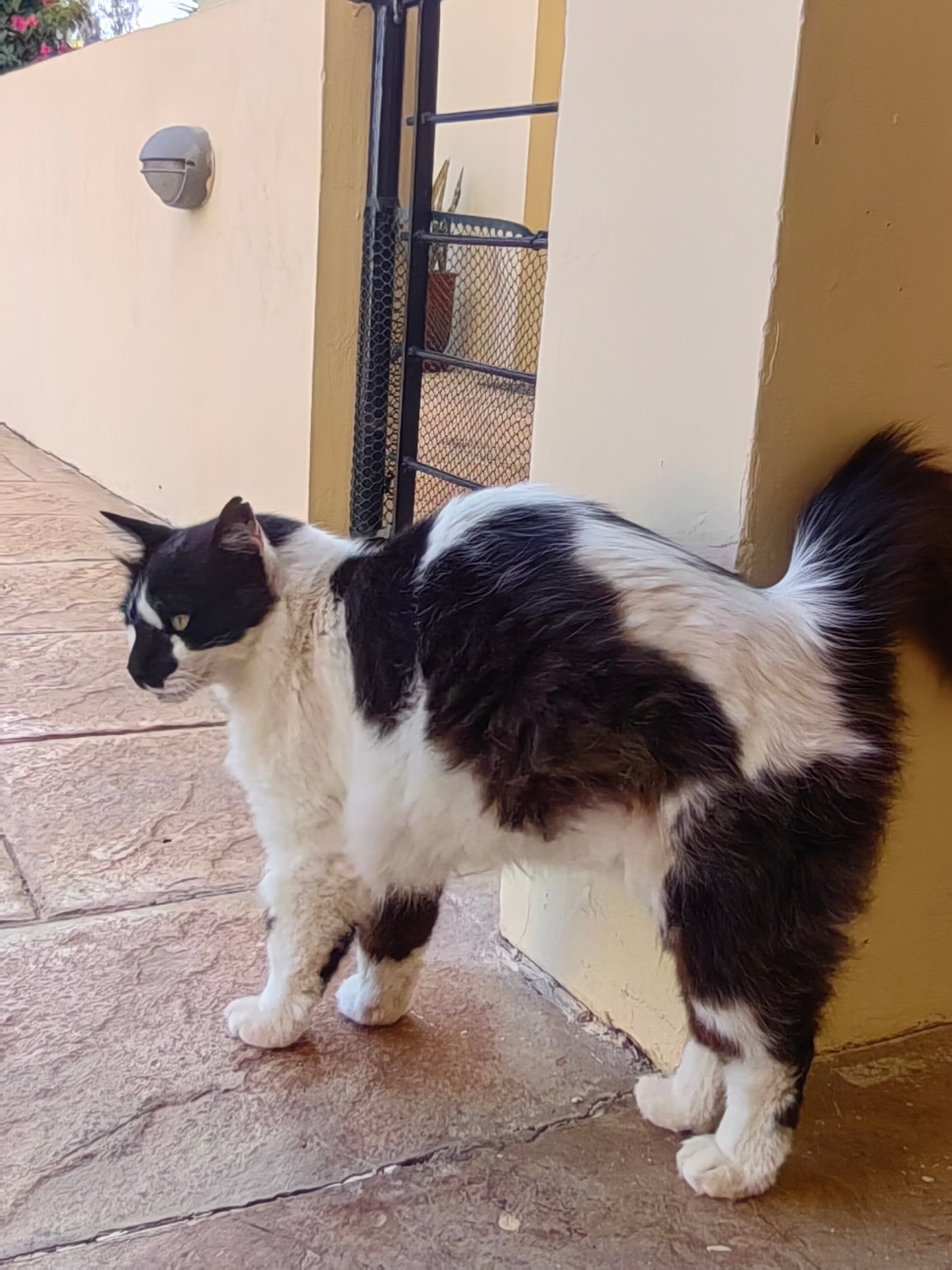 Фото Aphrodite Sands Resort