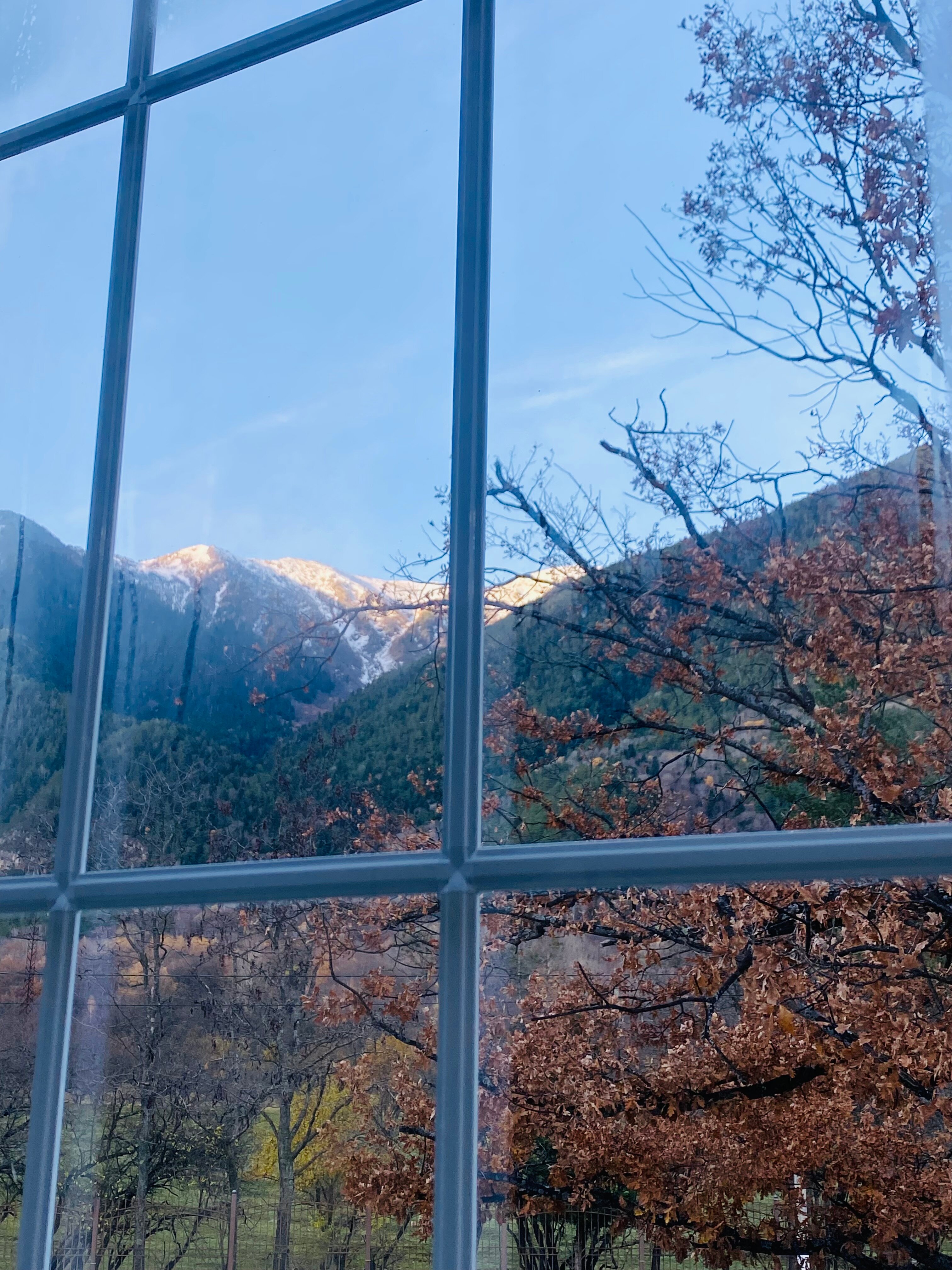 Фото Жемчужина