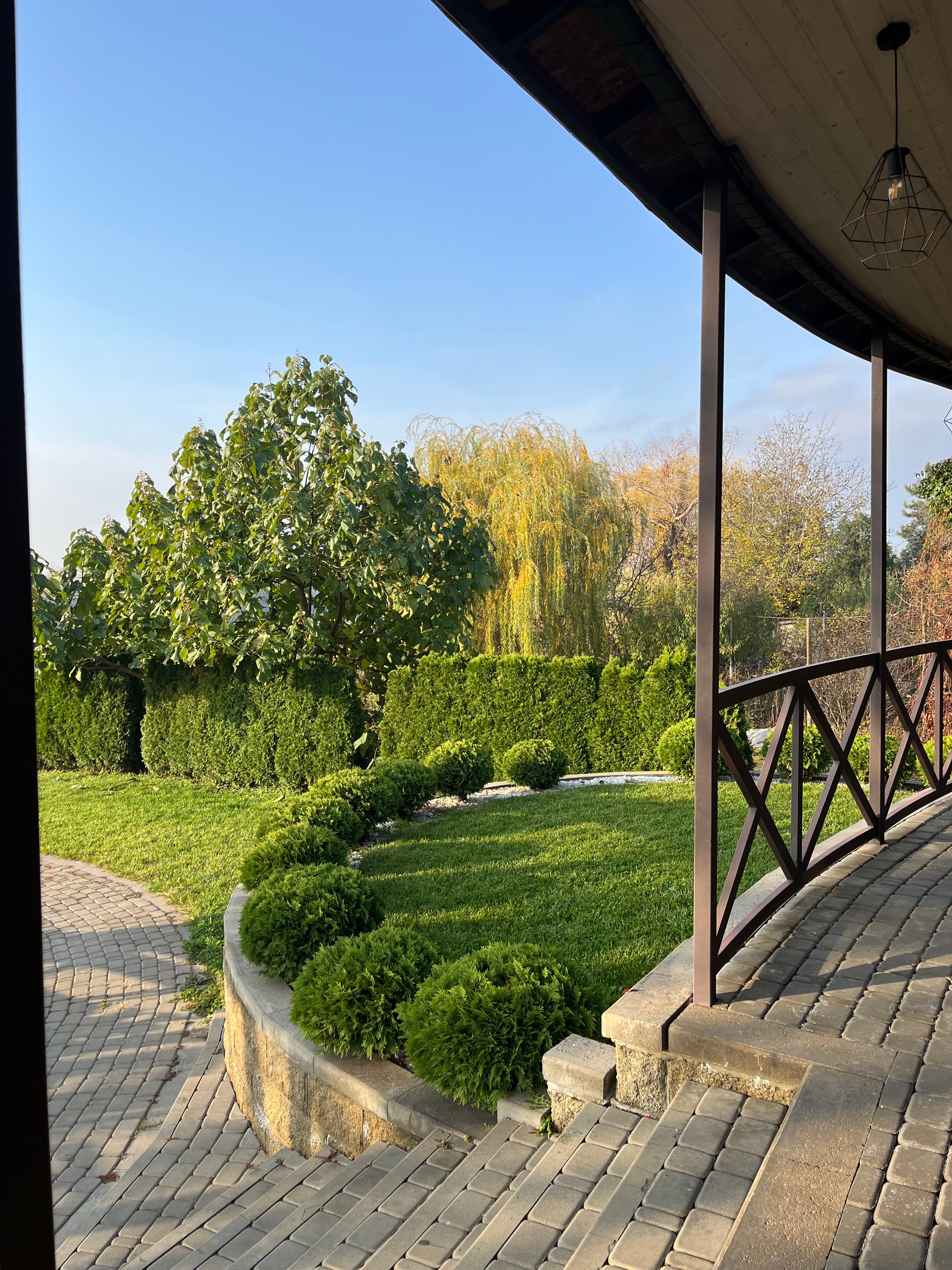 Фото Голден Стар