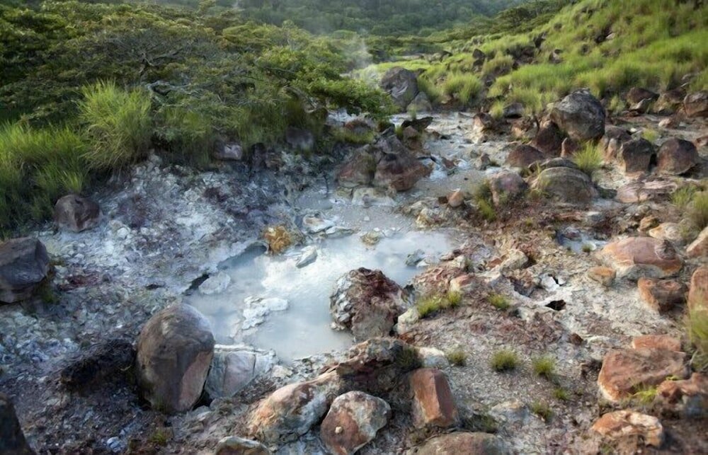 Фото Hotel Guanacaste