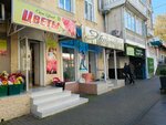 Цветочный склад (Mira Street, 7), flower shop