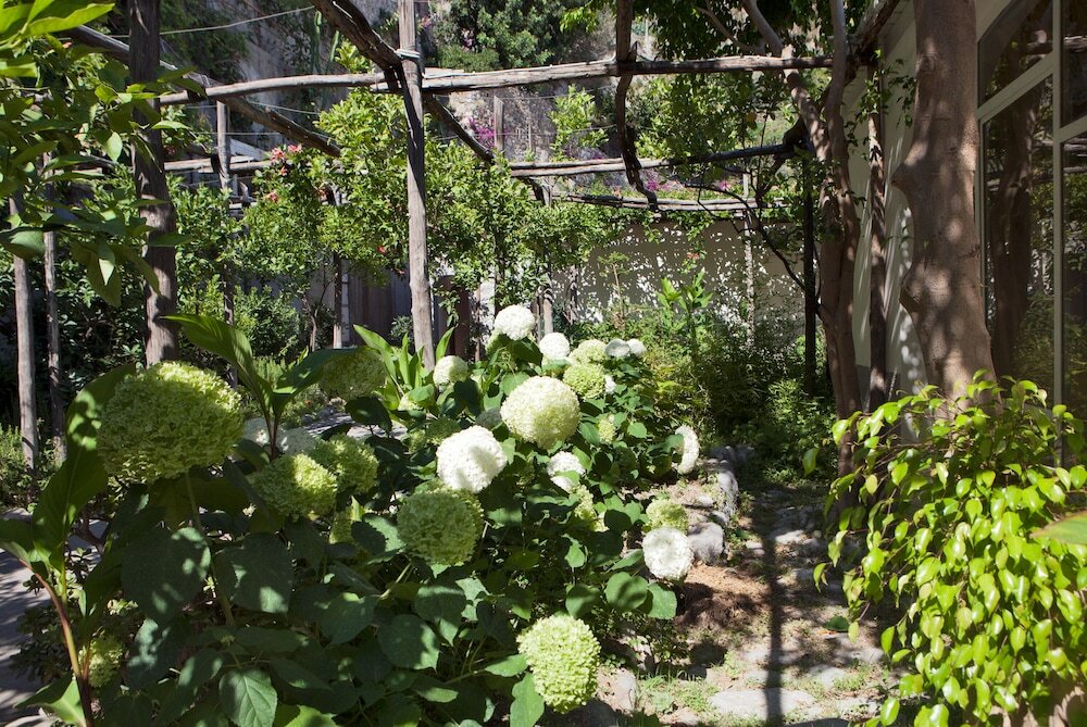 Фото Hotel Pupetto