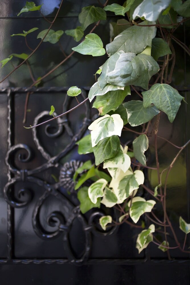 Фото The Corner Roma