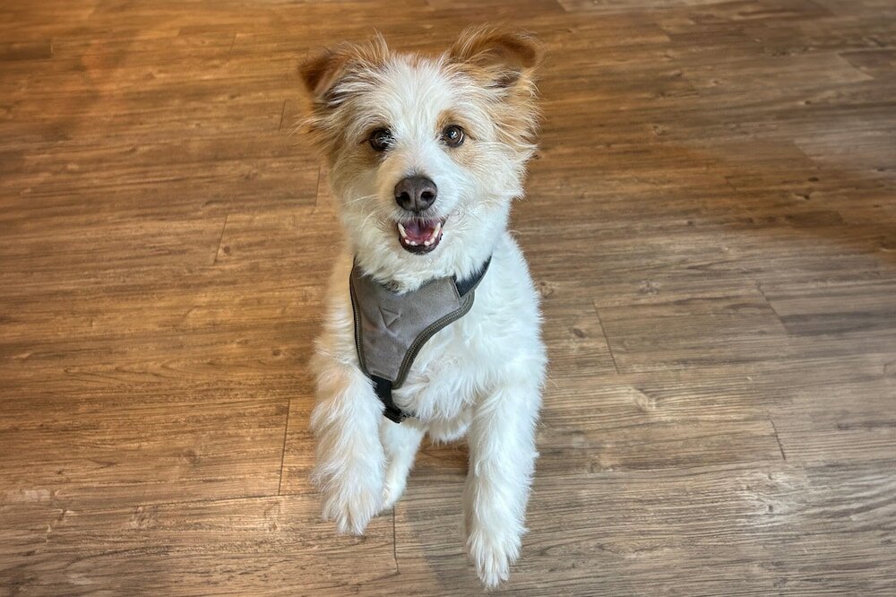 Фото The niu Hub