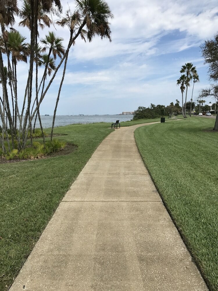 Фото Comfort Suites Clearwater - Dunedin