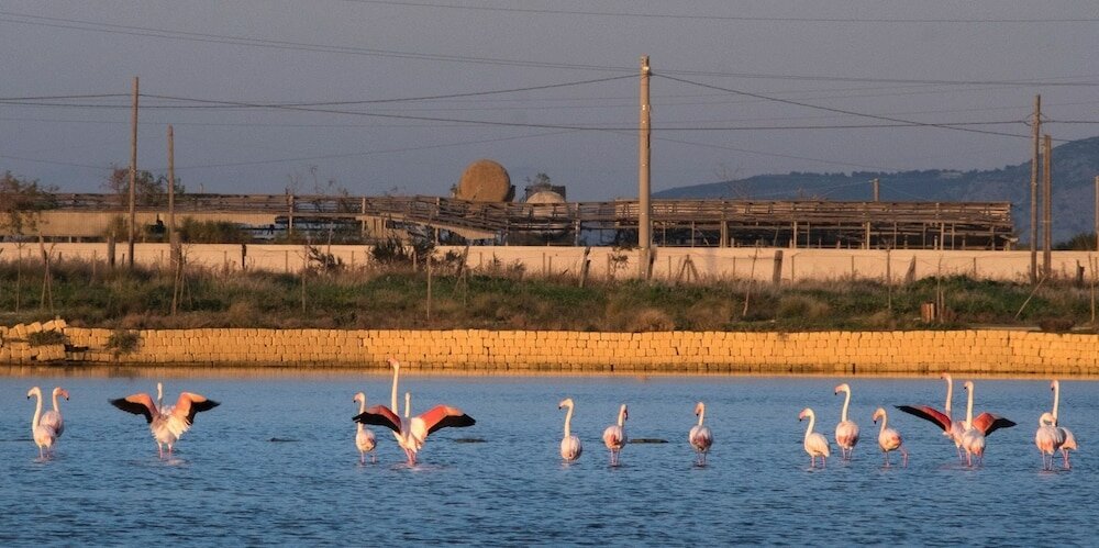 Фото Stagnone Area Zero