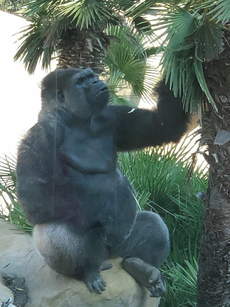 Фото Casa Del Sol