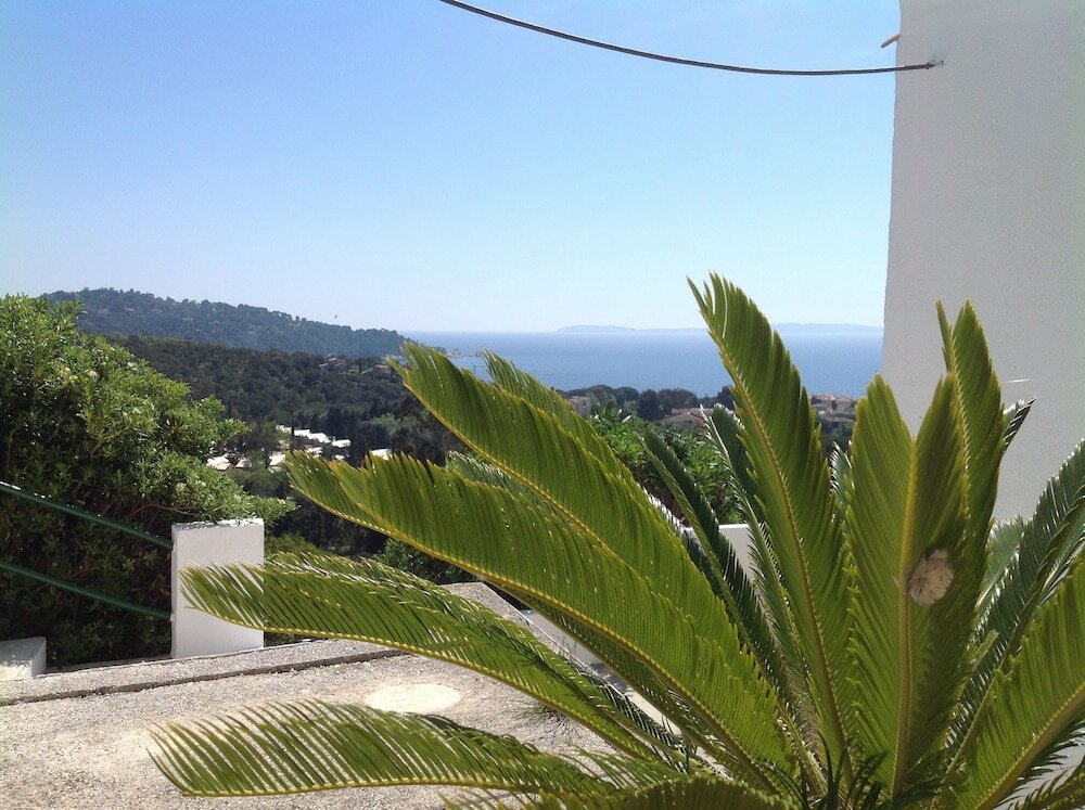 Фото 239591915500