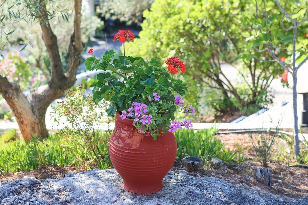 Фото Angelina Studios