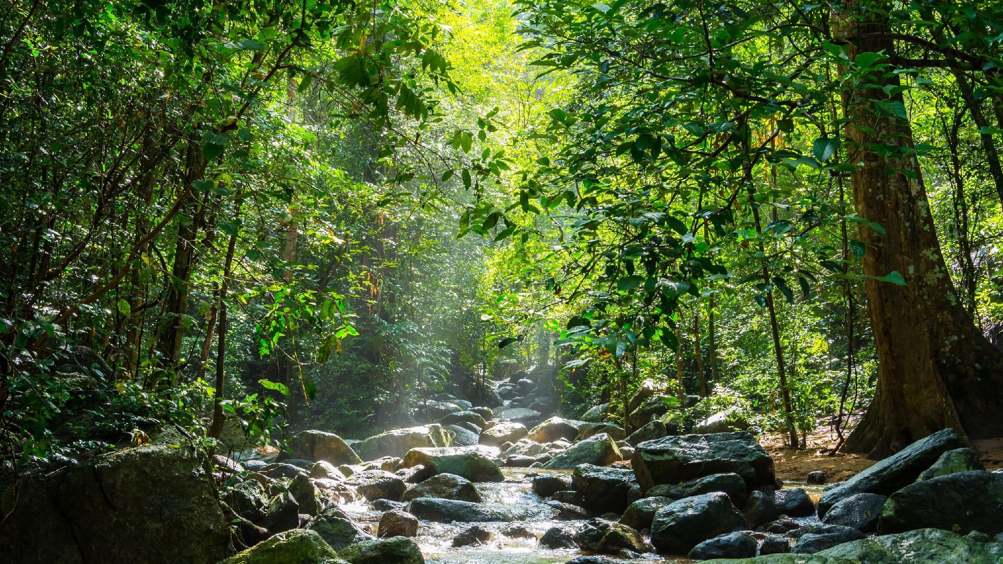 Фото Central Place Angsila