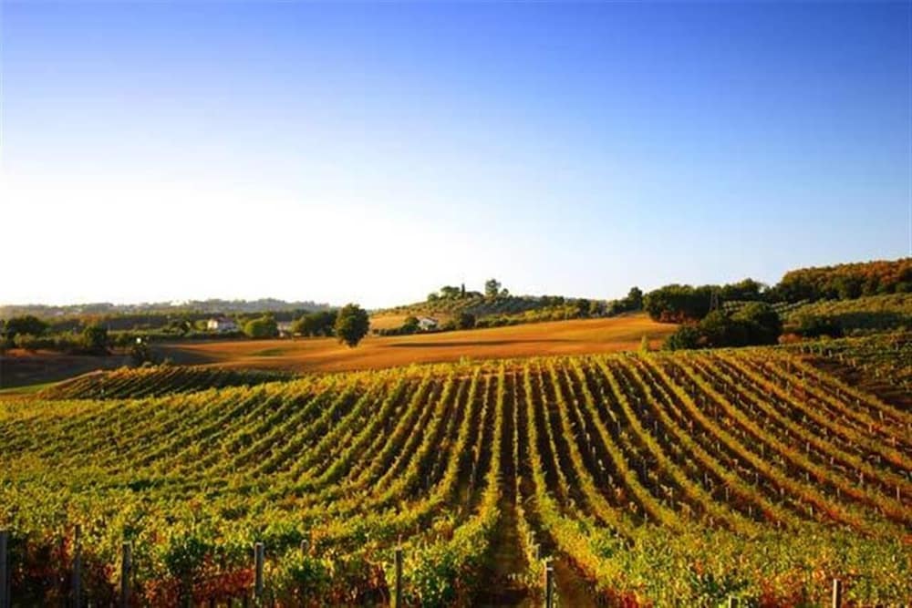 Фото Kyriad Blois Nord