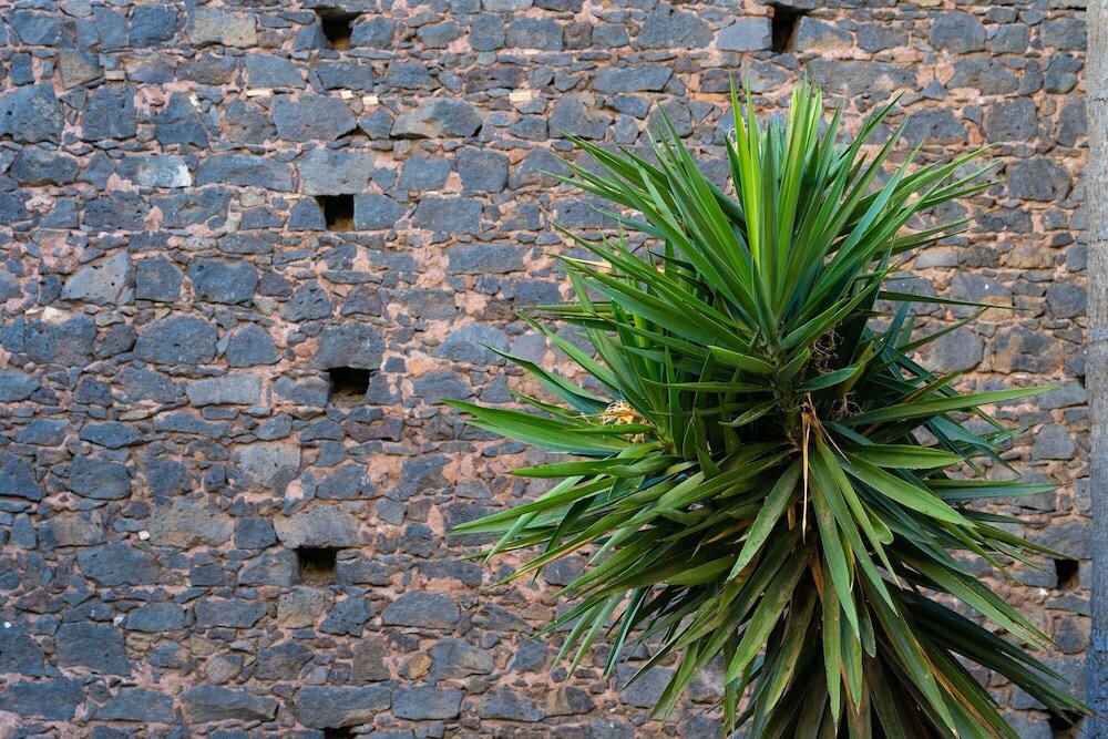 Фото Bed and Breakfast Opera