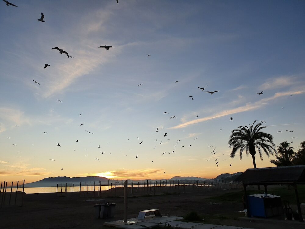 Фото El Nogal Home - Hostel