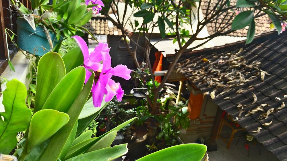 Фото Nyoman Badri Homestay