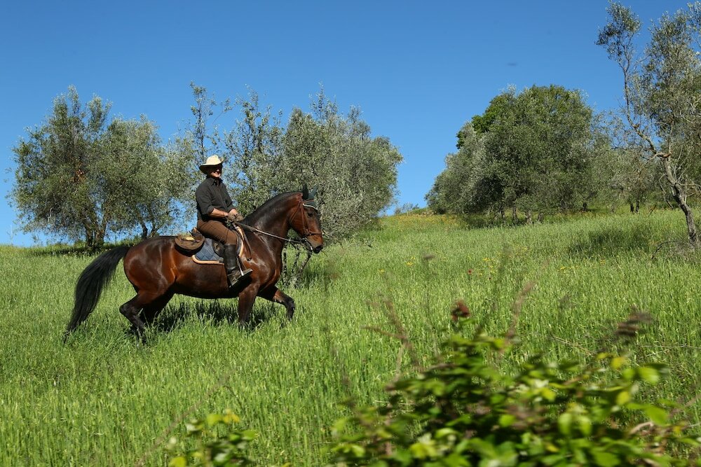 Фото Agriturismo Palazzo Bandino