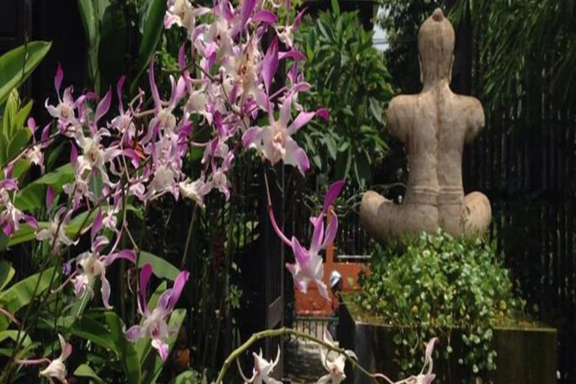 Фото Artist's Place Trat