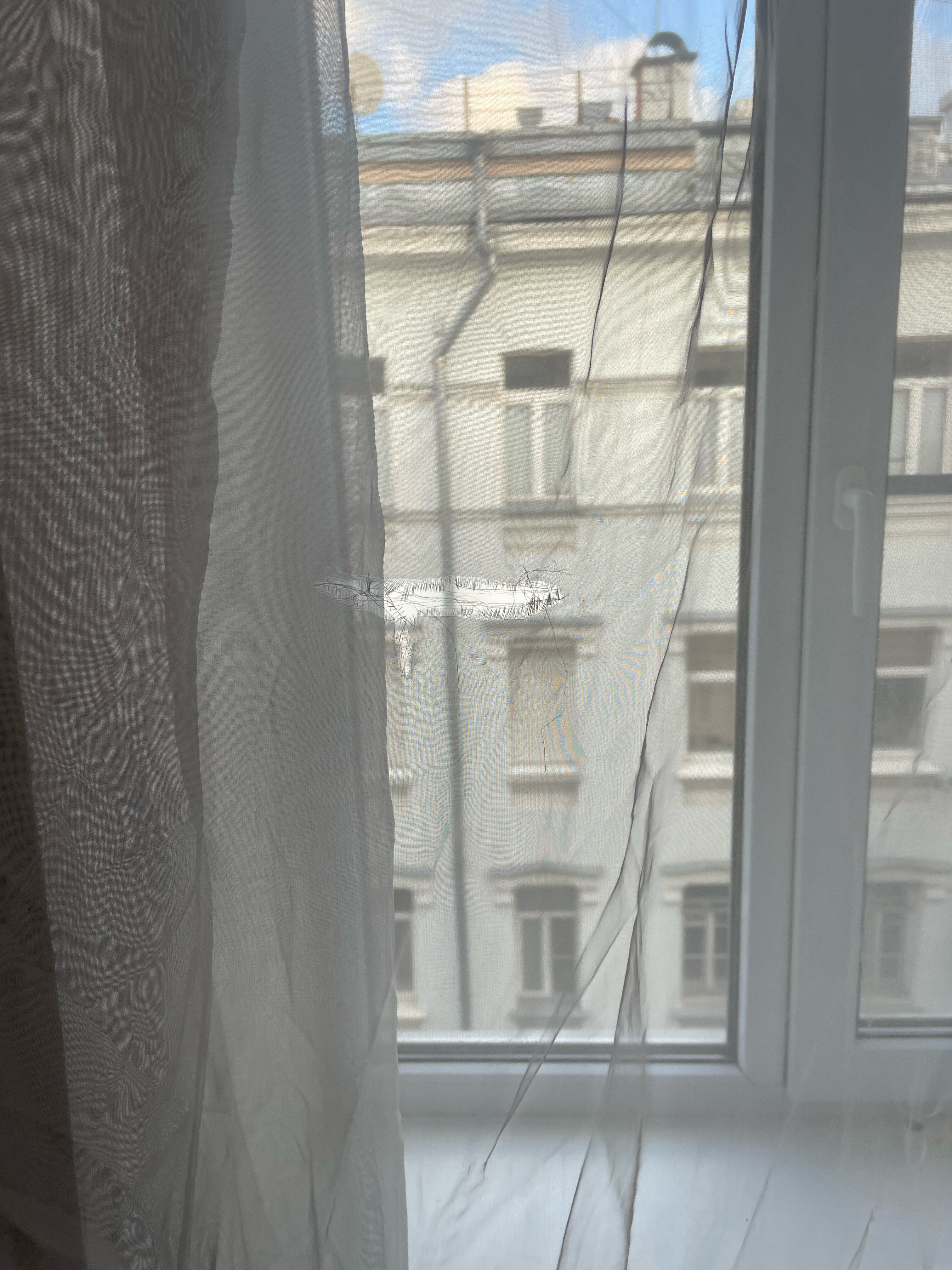 Фото Флоринн