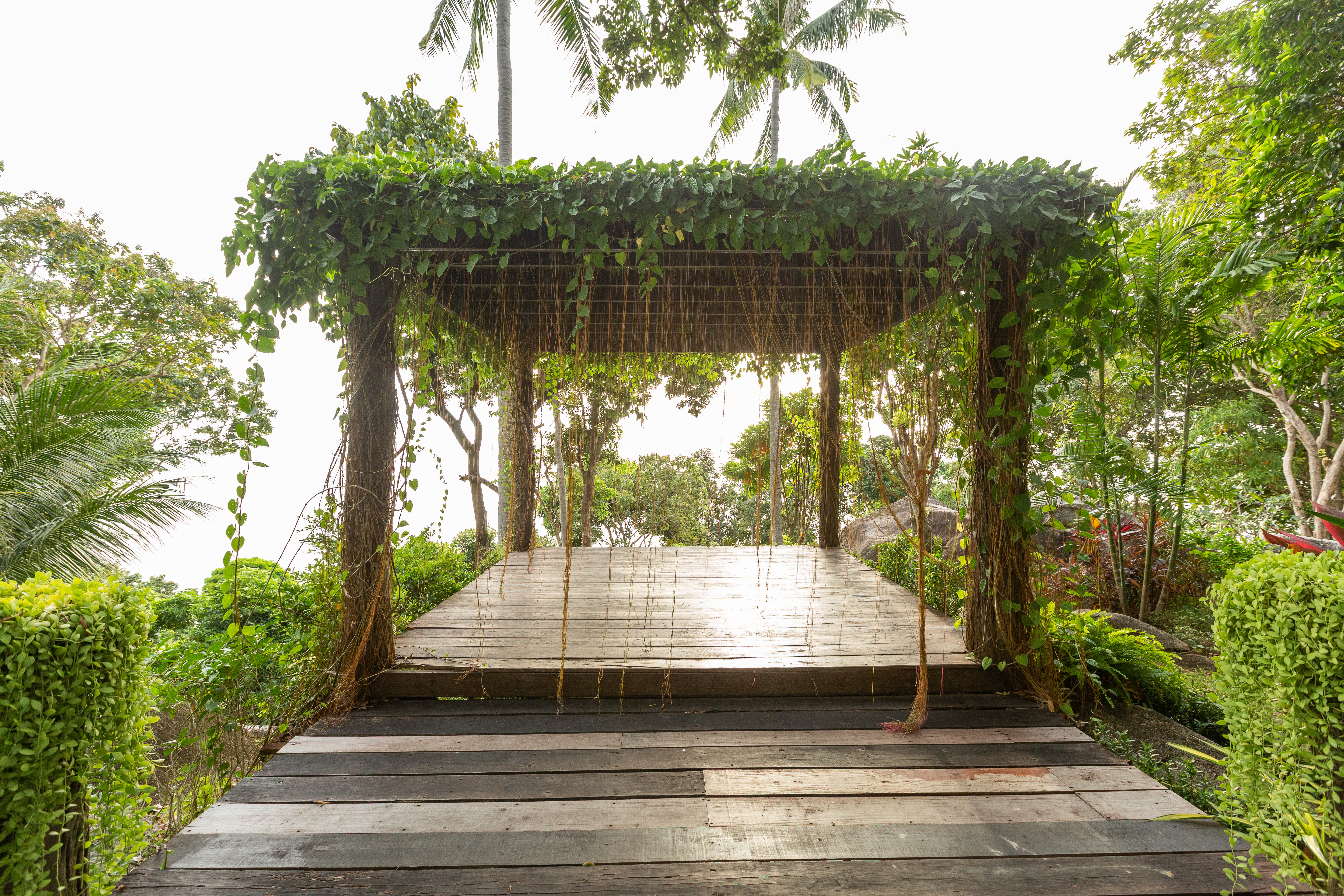 Фото Secret Cliff Villa